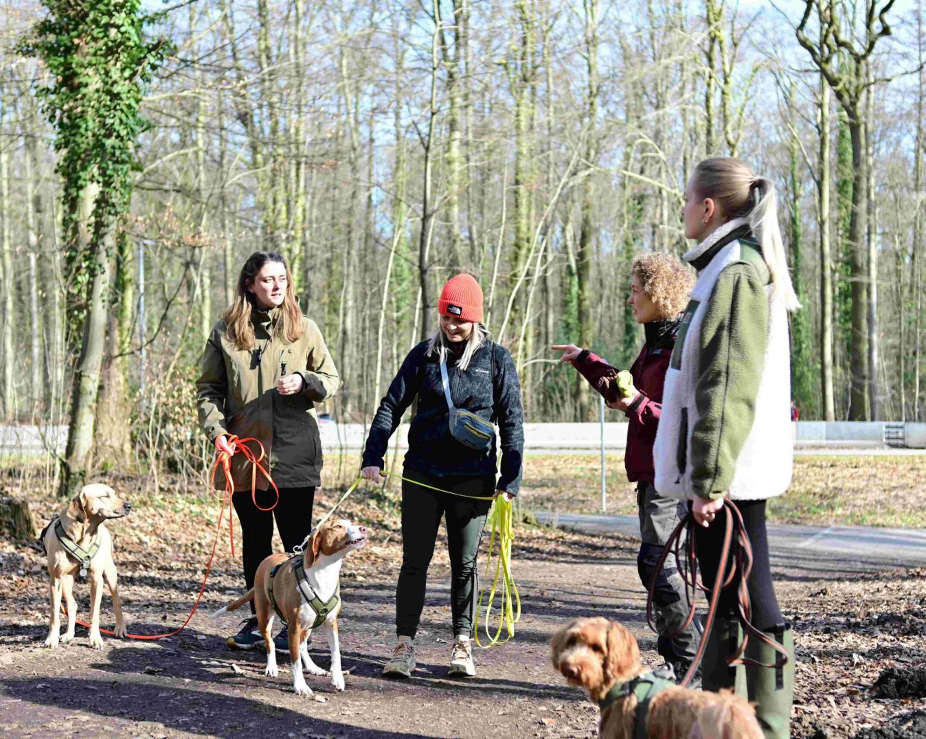 danielamueller-hundetrainerin-leistung-gruppen-beschaeftigung-01