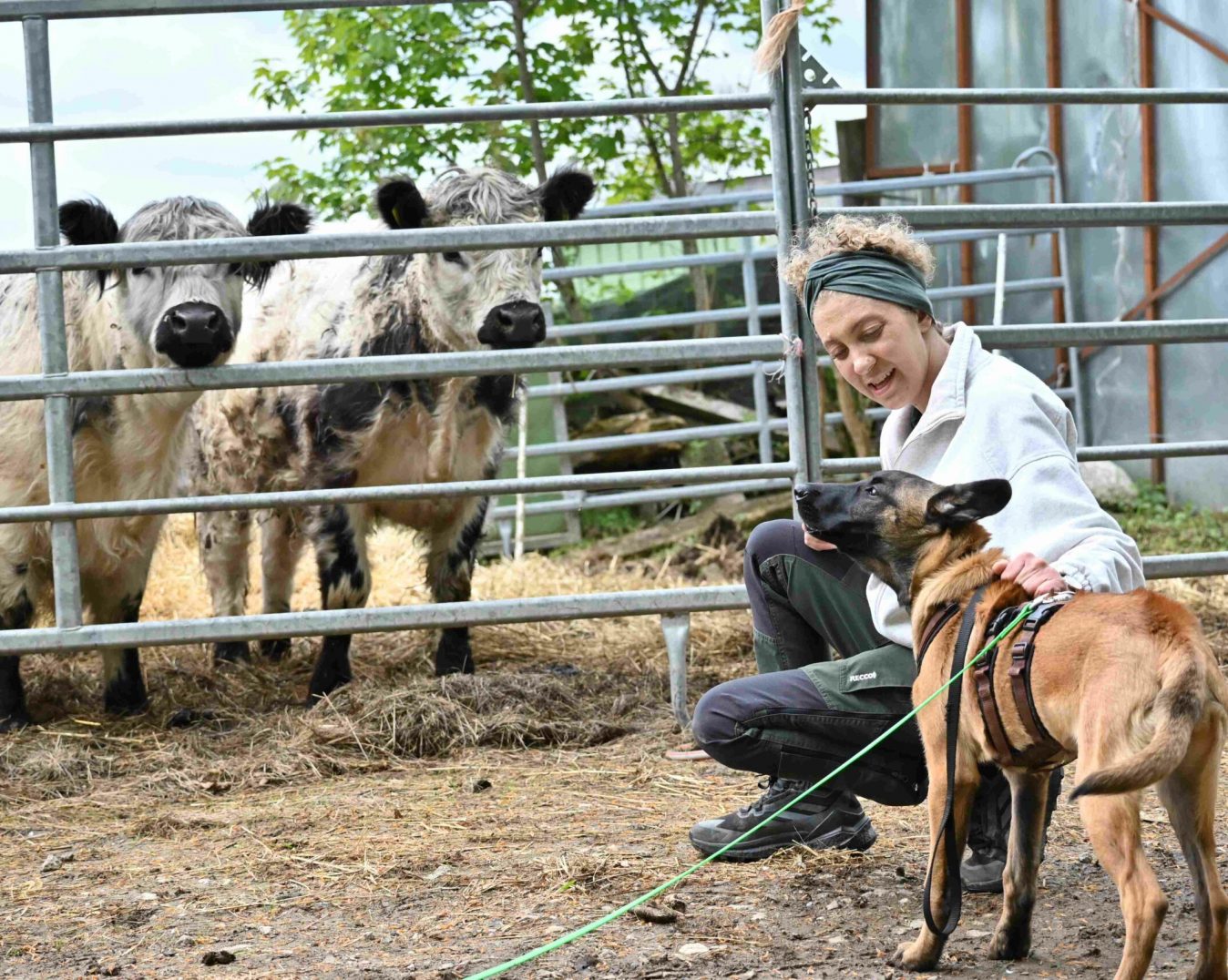 danielamueller-hundetrainerin-leistung-verhaltenstherapie-01