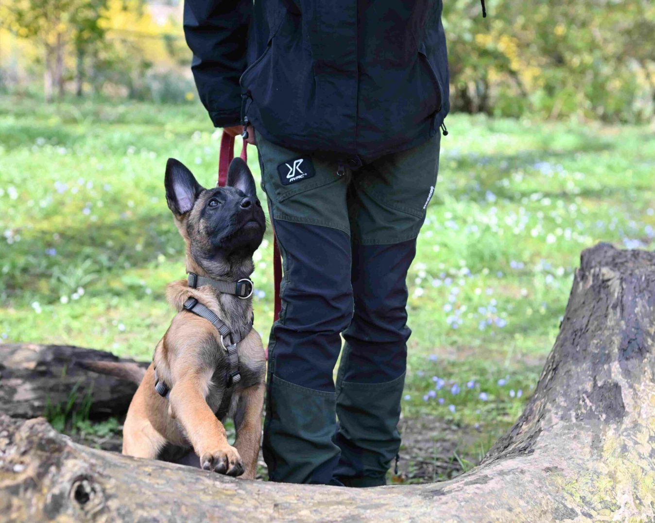 danielamueller-hundetrainerin-leistung-welpen-und-jugendzeit-01